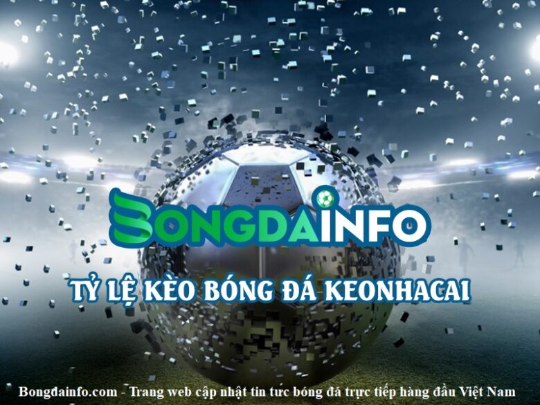 bongdainfo.com-trang-web-cap-nhat-tin-tuc-bong-da-truc-tiep-hang-dau-viet-nam